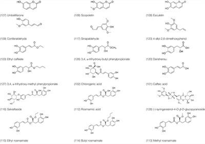 Prunella vulgaris L. – A Review of its Ethnopharmacology, Phytochemistry, Quality Control and Pharmacological Effects